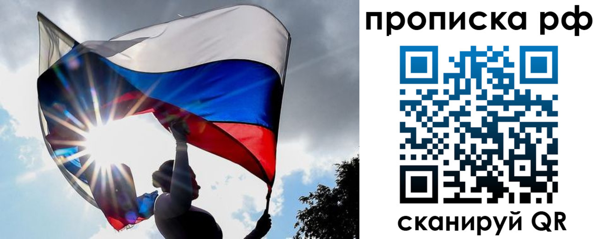 временная регистрация надежно в Мончегорске