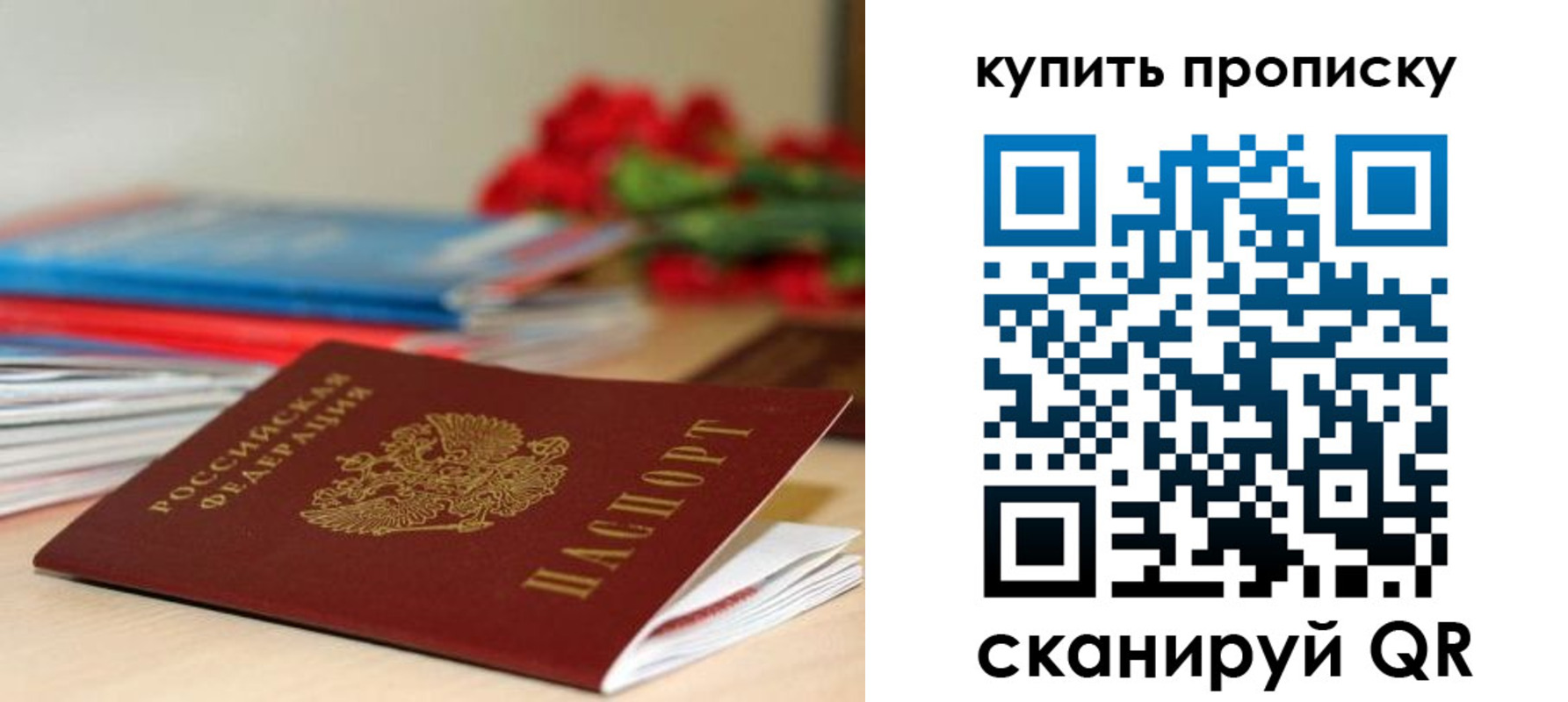 где прописаться в Мончегорске